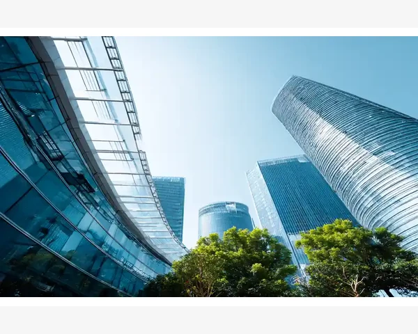 润肺止咳化痰鸭汤：中医经典的养生美食之道