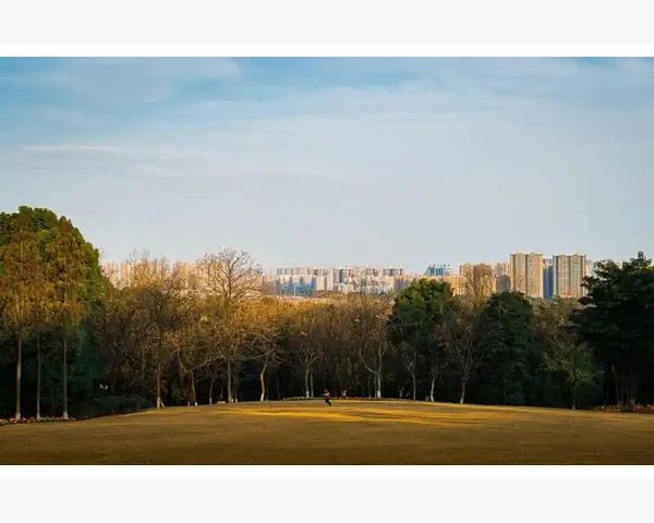 润肺止咳化痰，中医汤料来助你